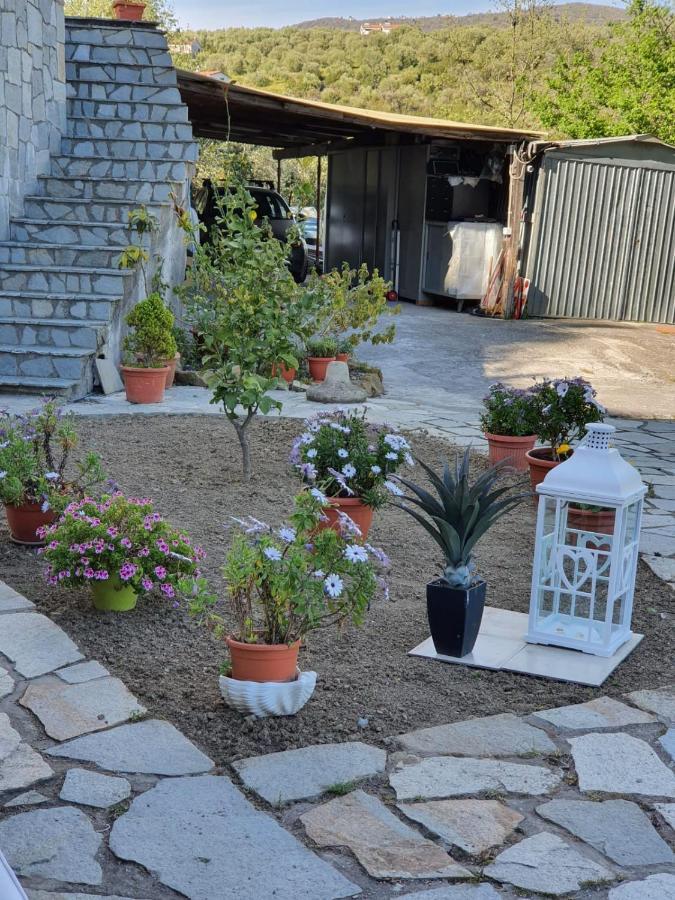 Willa Casa Intera Indipendente Con Giardino Privato Imperia Zewnętrze zdjęcie
